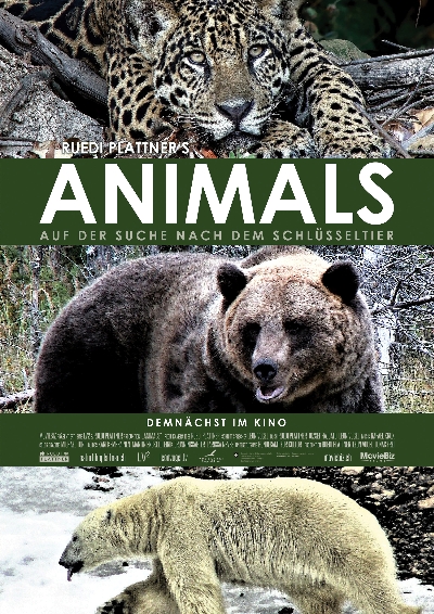 Plakat: Animals