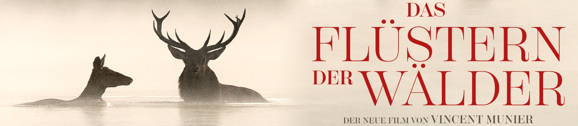 Das Flüstern der Wälder